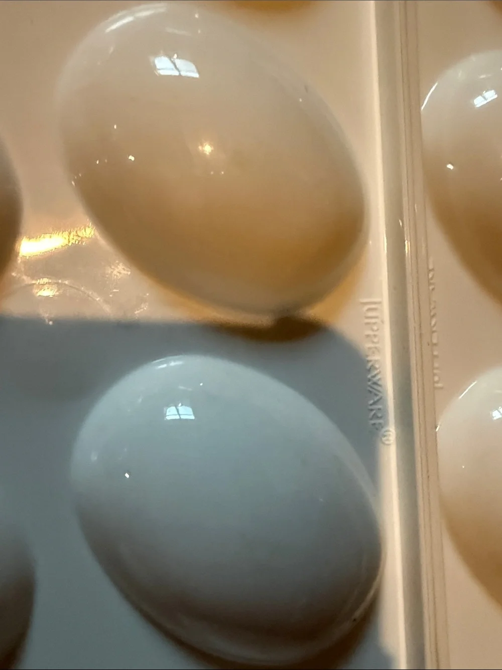 Tupperware plastic egg